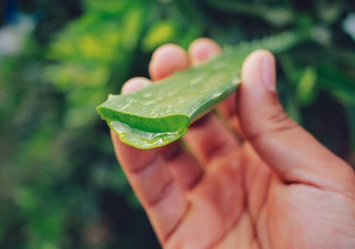 Ayurvedic Solutions for Knee Joint Pain: A Holistic Approach to Alleviating Stiffness and Swelling